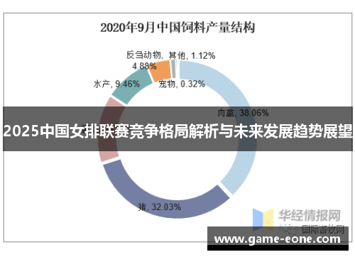 2025中国女排联赛竞争格局解析与未来发展趋势展望