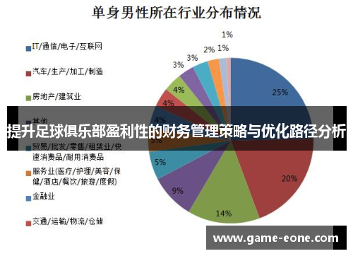 提升足球俱乐部盈利性的财务管理策略与优化路径分析