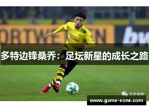 多特边锋桑乔：足坛新星的成长之路