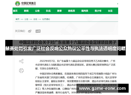 禁赛处罚引发广泛社会反响公众热议公平性与执法透明度问题