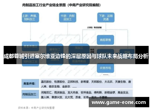 成都蓉城引进塞尔维亚边锋的深层原因与球队未来战略布局分析