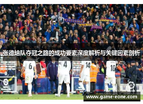 张德培队夺冠之路的成功要素深度解析与关键因素剖析