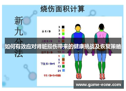 如何有效应对肾脏损伤带来的健康挑战及恢复策略
